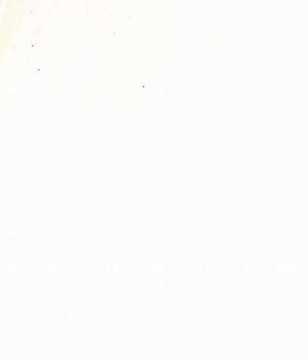 Over The Paradise 36 trang 39