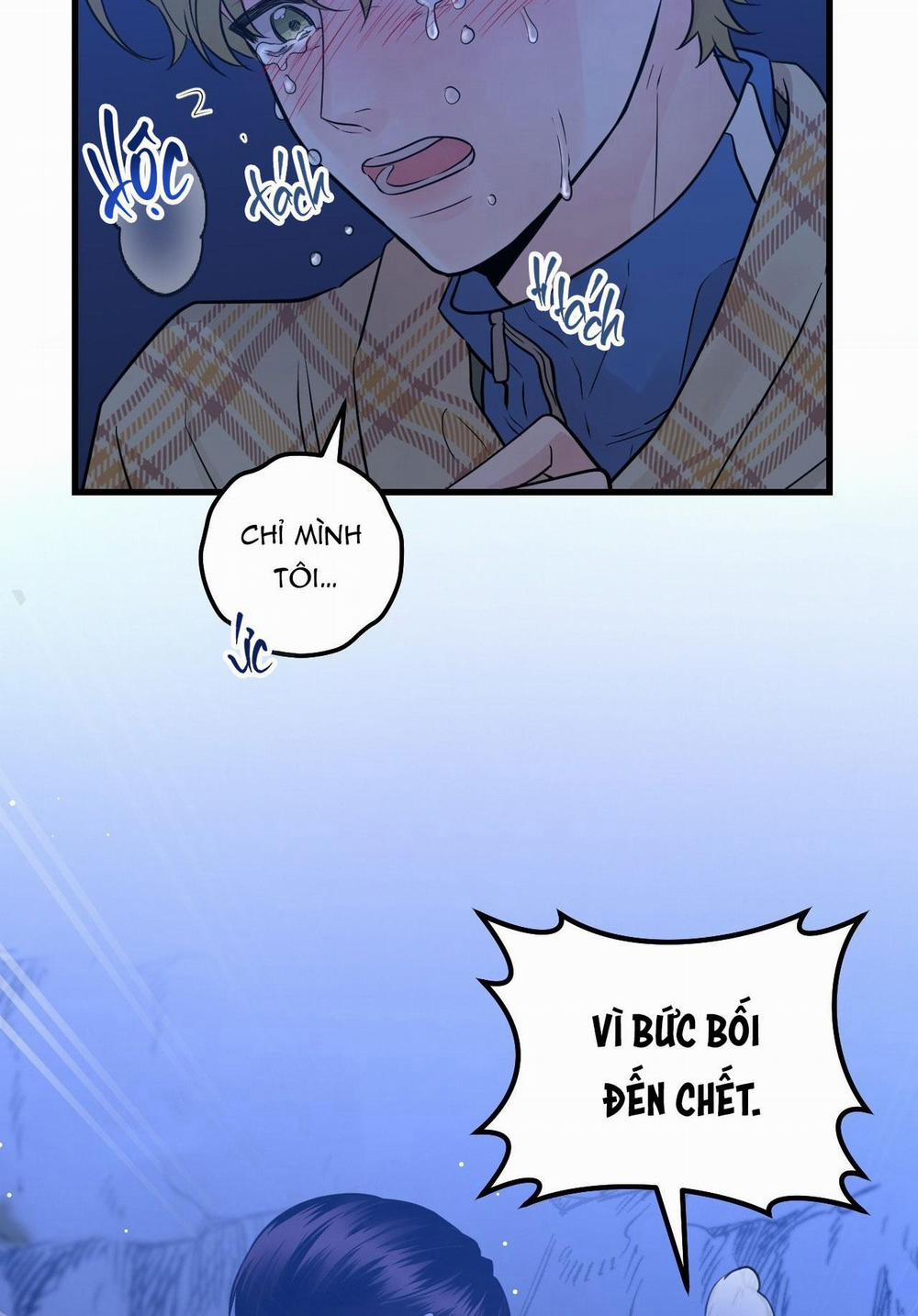 Over The Paradise 41 trang 13