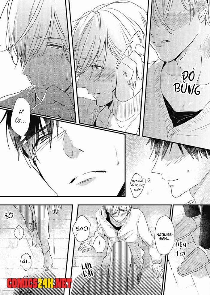 Papa Datte, Shitai 1 trang 19