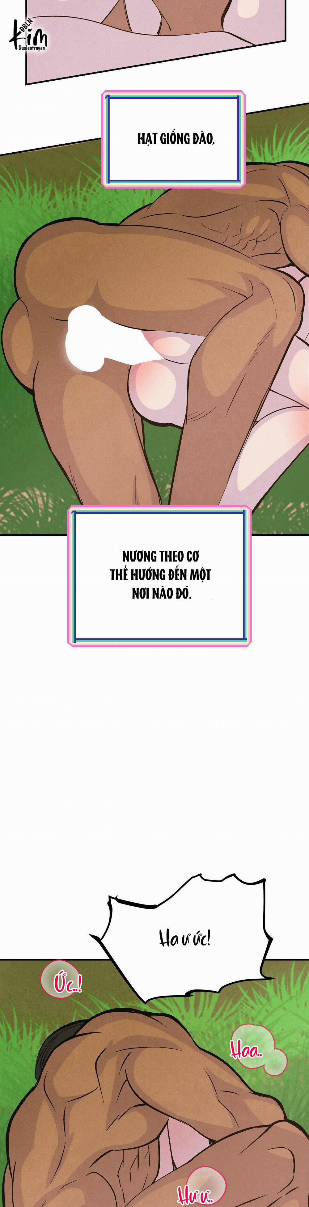 Peach Boy 13 trang 10