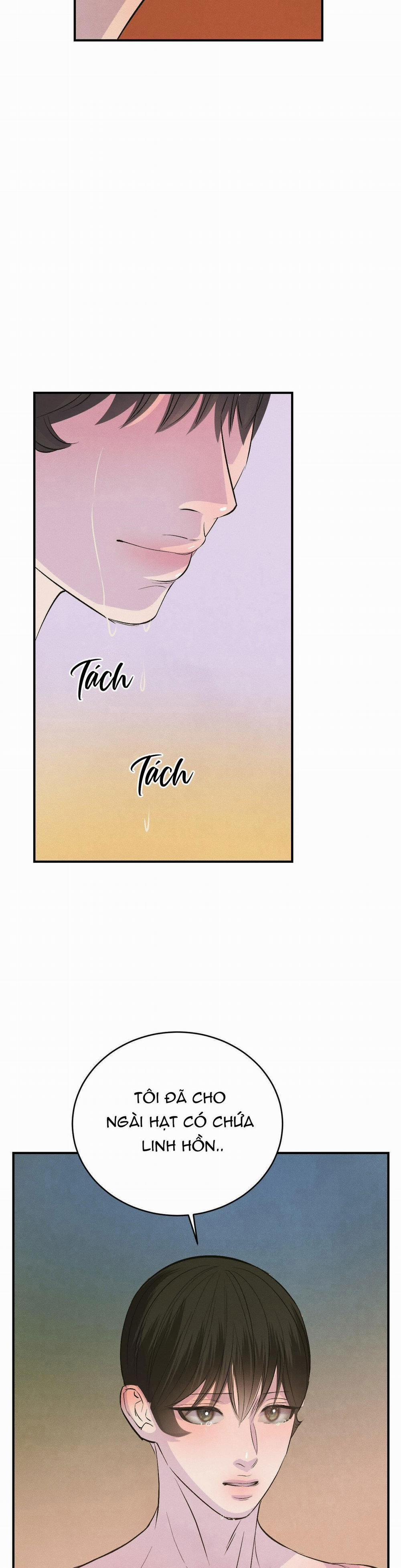 Peach Boy 13 trang 36