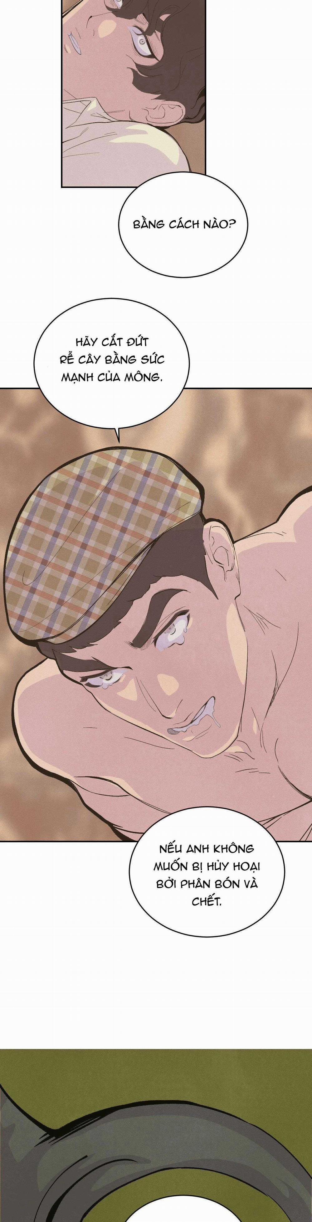 Peach Boy 33 trang 25