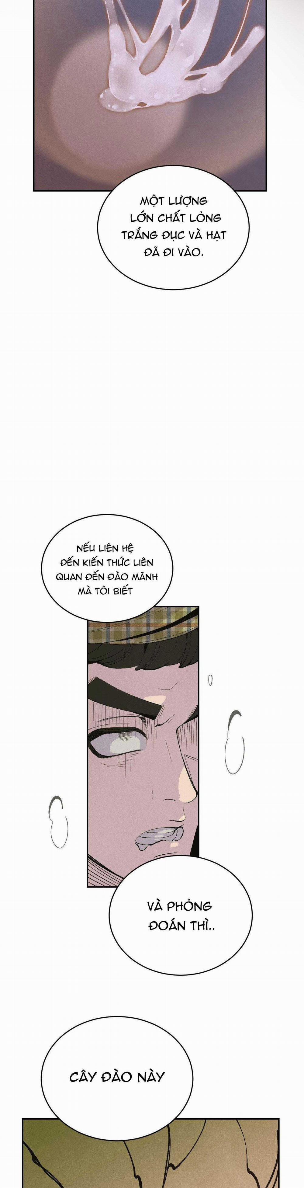 Peach Boy 33 trang 28