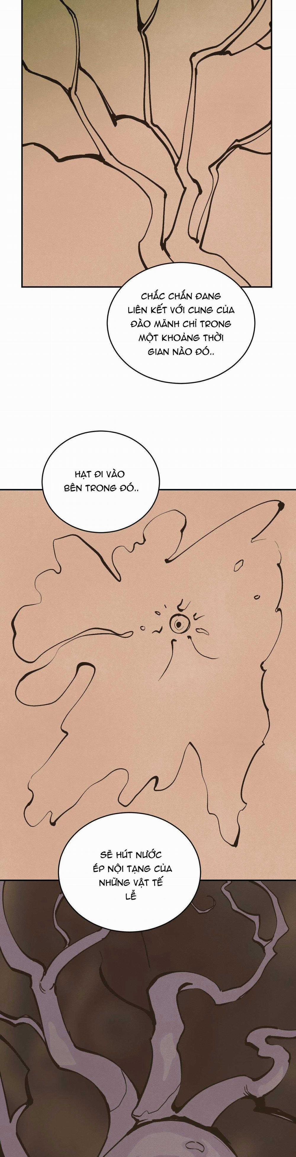 Peach Boy 33 trang 29