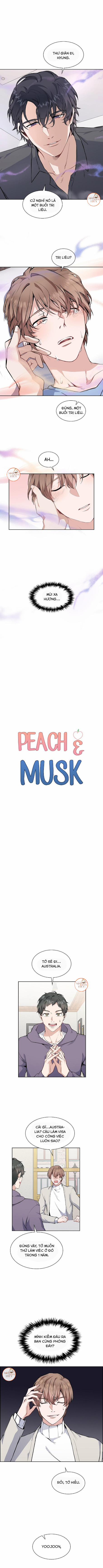 Peach & Musk 1 trang 1