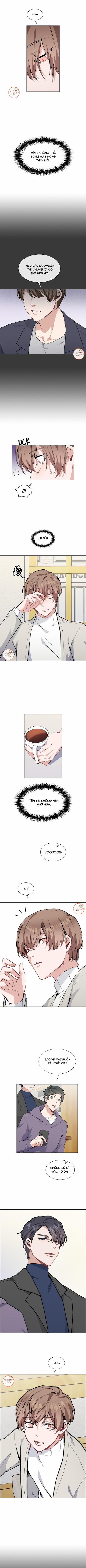 Peach & Musk 1 trang 4