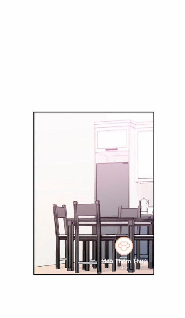 Peach & Musk 4 trang 0