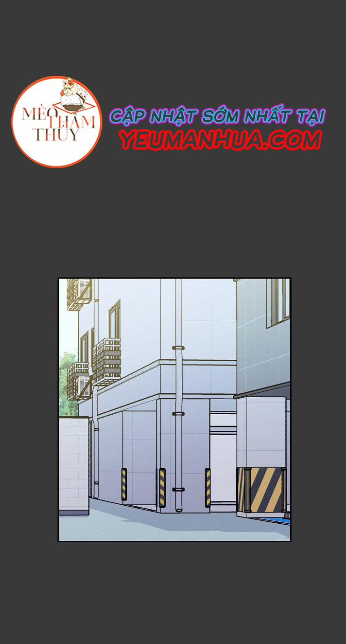 Peach & Musk 7 trang 0