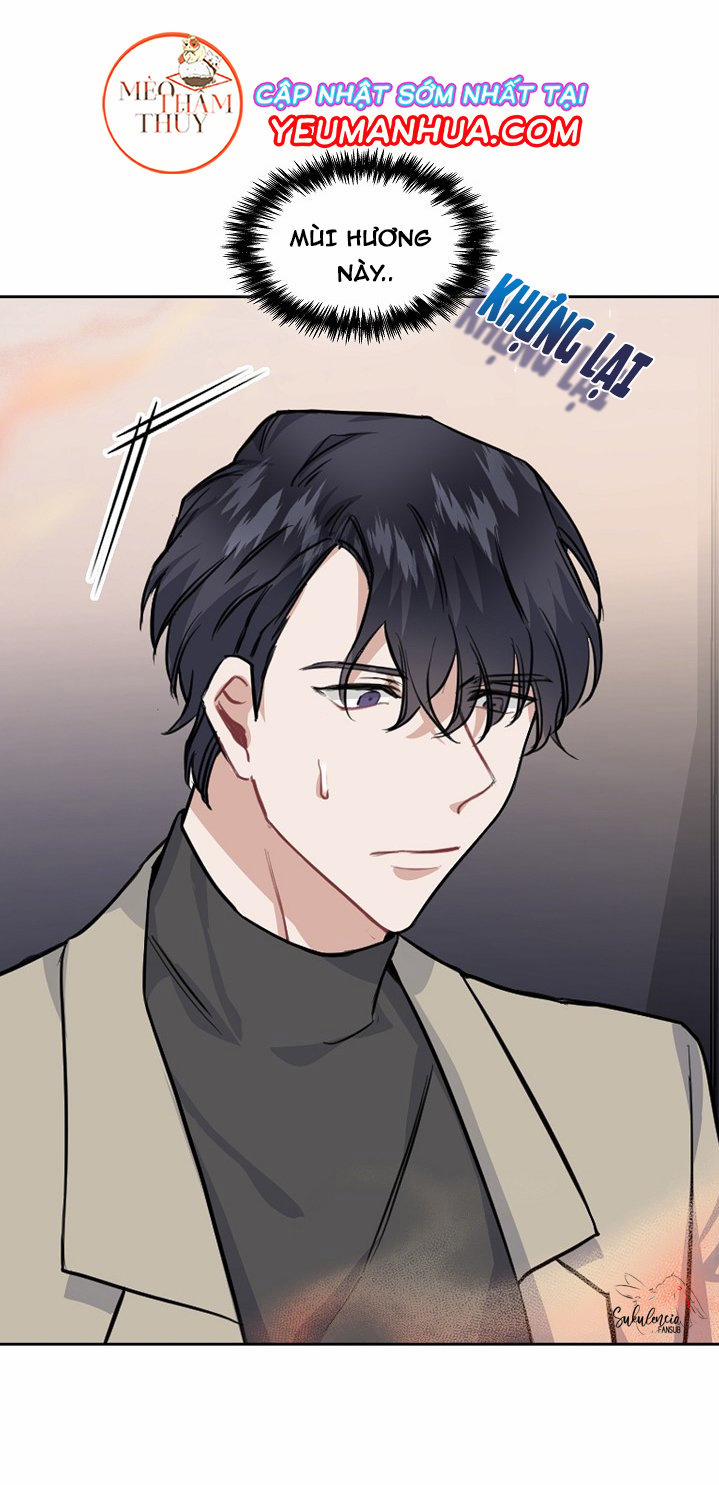 Peach & Musk 8 trang 2