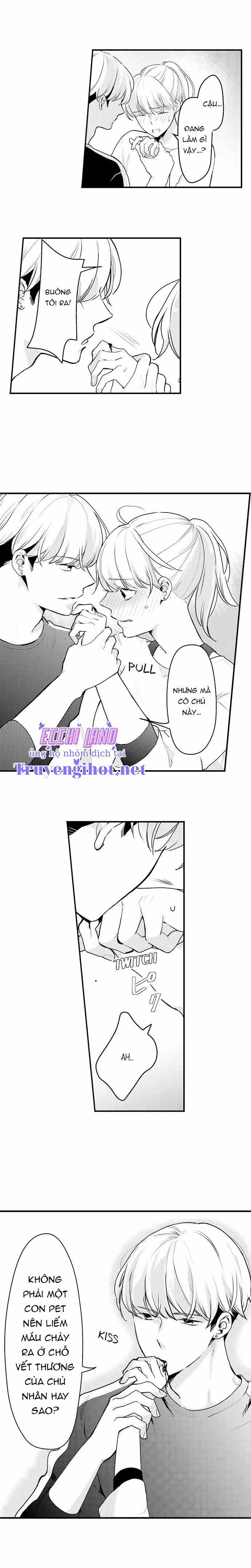 Pet Nhà Tôi Là Yakuza 12.2 trang 1