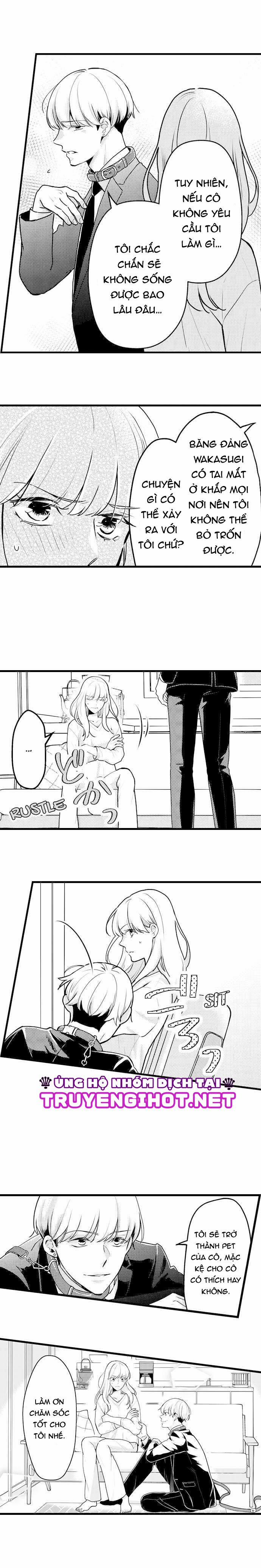 Pet Nhà Tôi Là Yakuza 3.3 trang 2