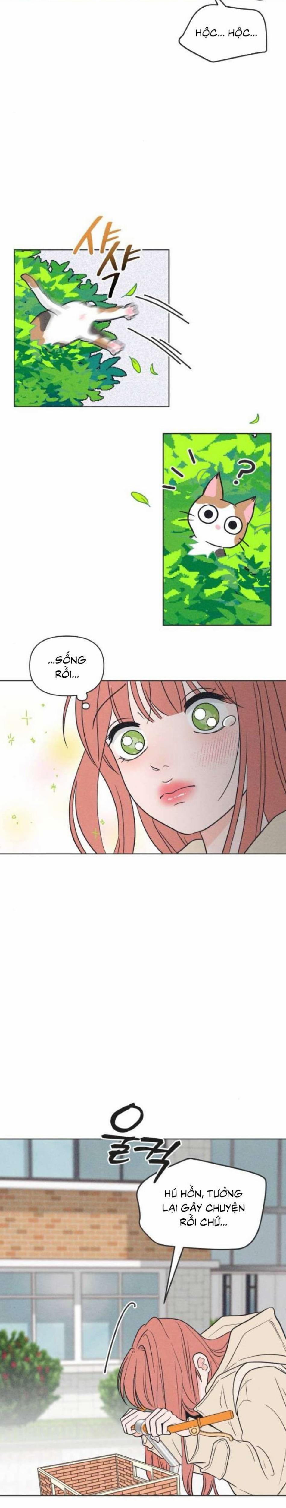 Phá Hỏng Mối Tình Đơn Phương 2 trang 20