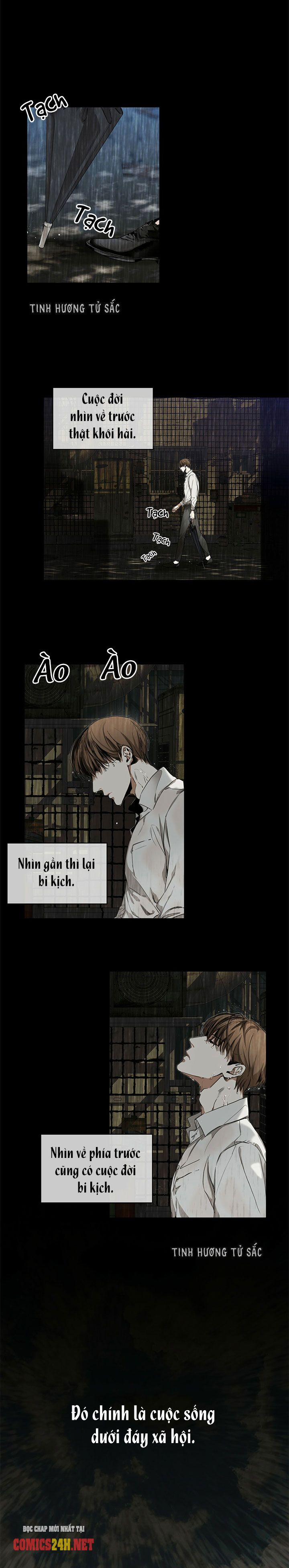 Phạm Luật 0 trang 0