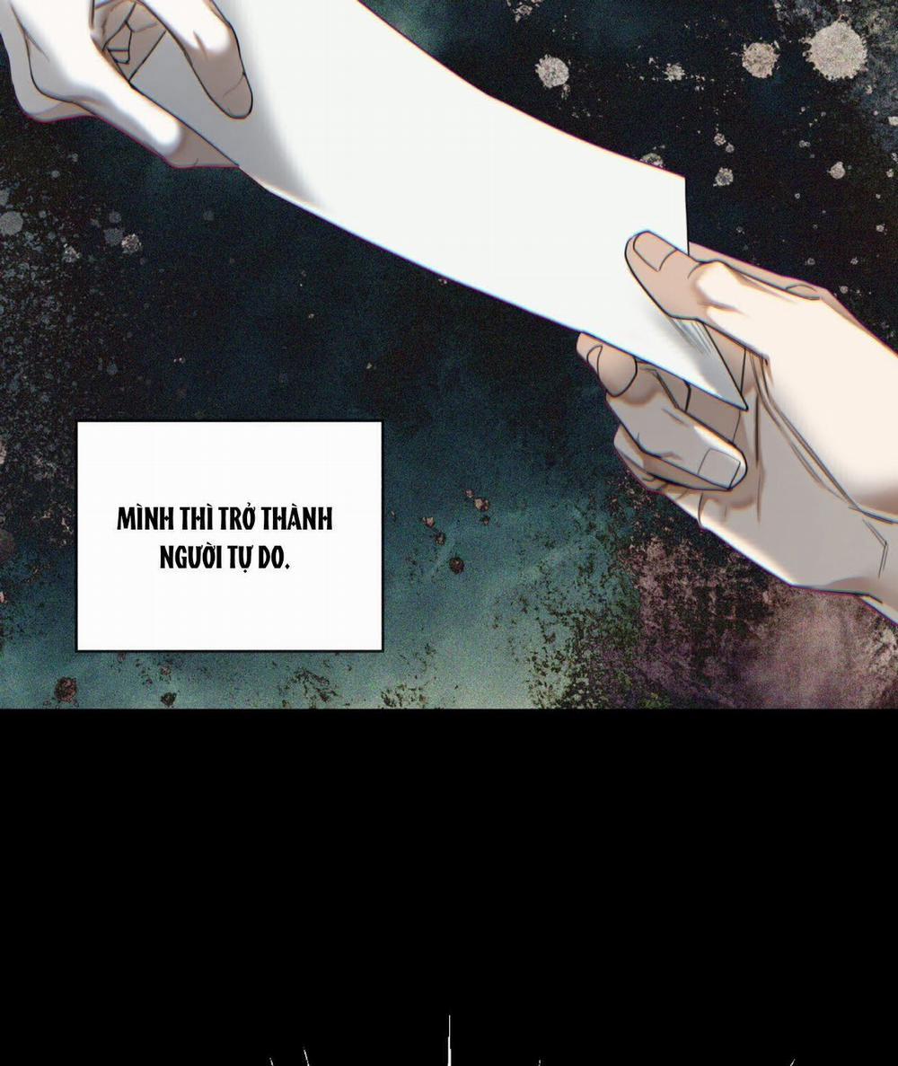 Phạm Luật 81.1 trang 9