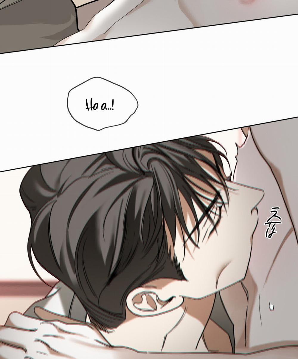 Phạm Luật 81.2 trang 18