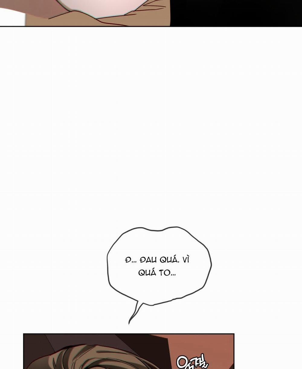 Phạm Luật 81.2 trang 37