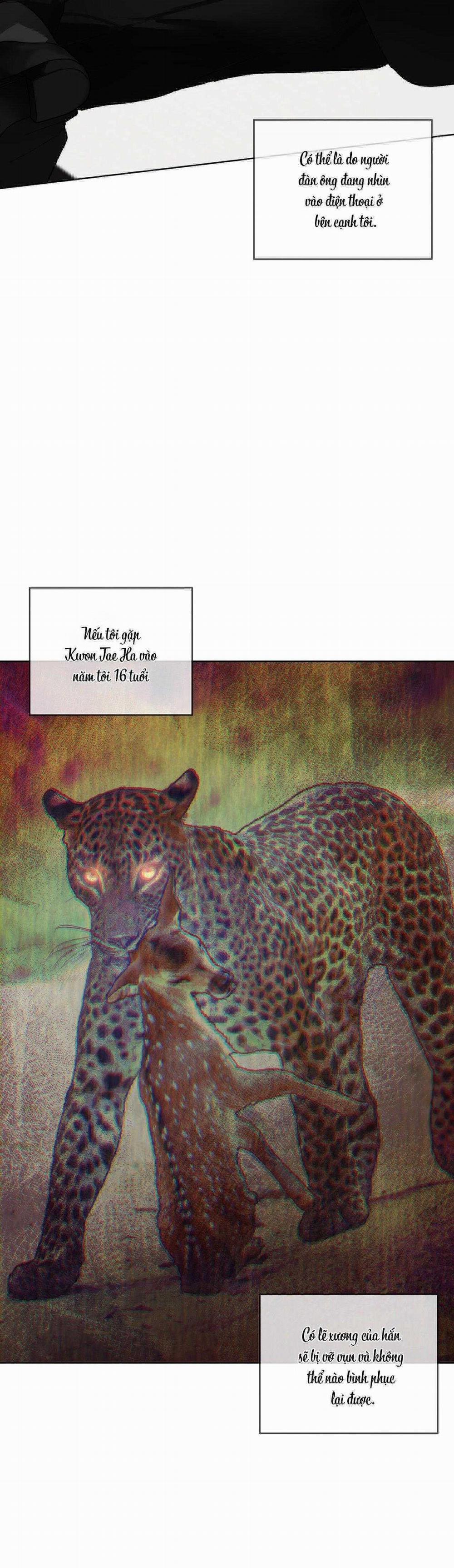 Phạm Luật 86 trang 10