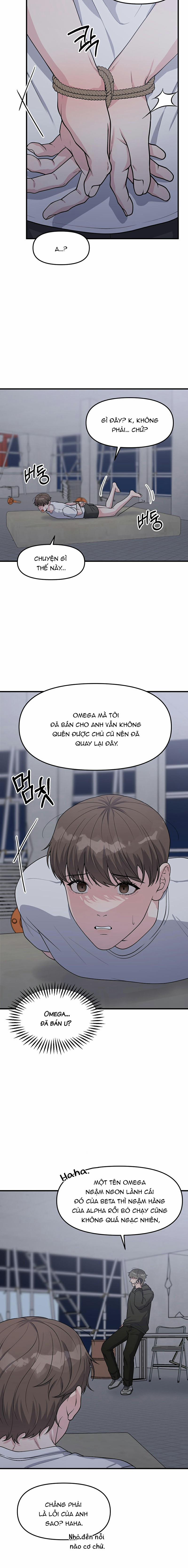 Phản Chiếu Của Ký Ức 11 trang 15