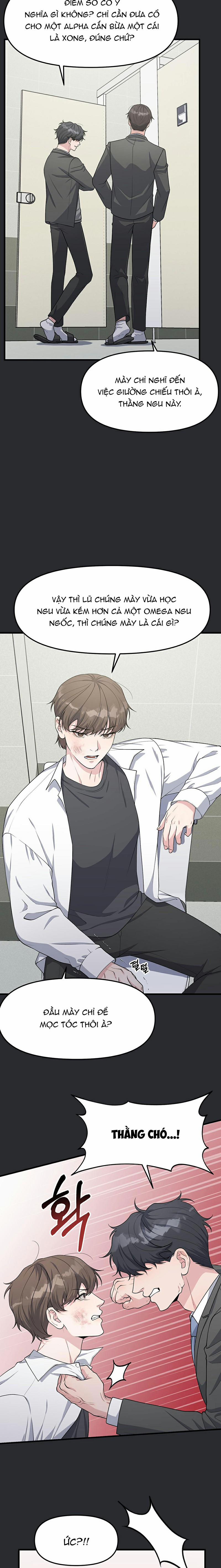 Phản Chiếu Của Ký Ức 13 trang 15