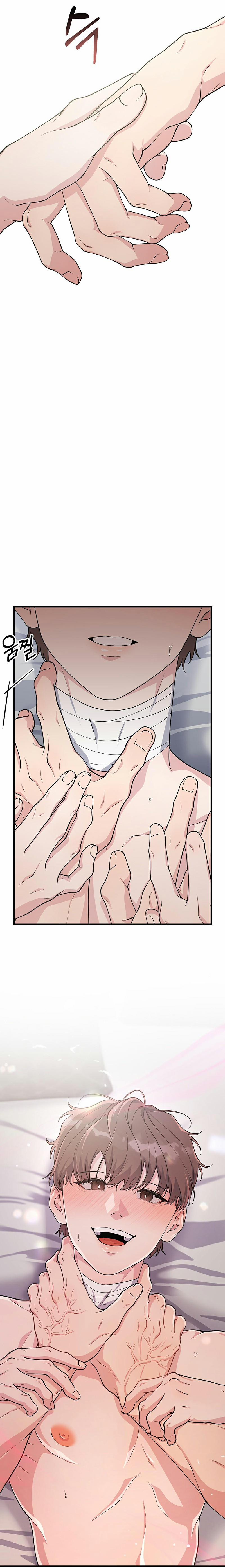 Phản Chiếu Của Ký Ức 15 trang 21