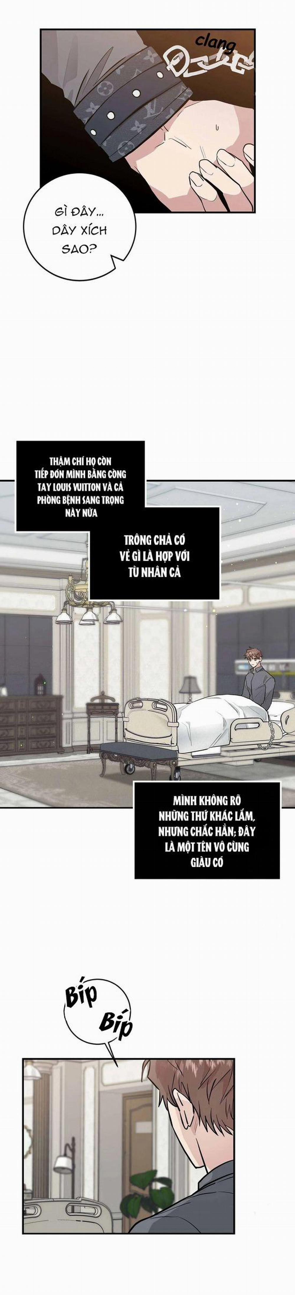 Phản Diện Đều Là Những Kẻ Ngu Ngốc 7 trang 8