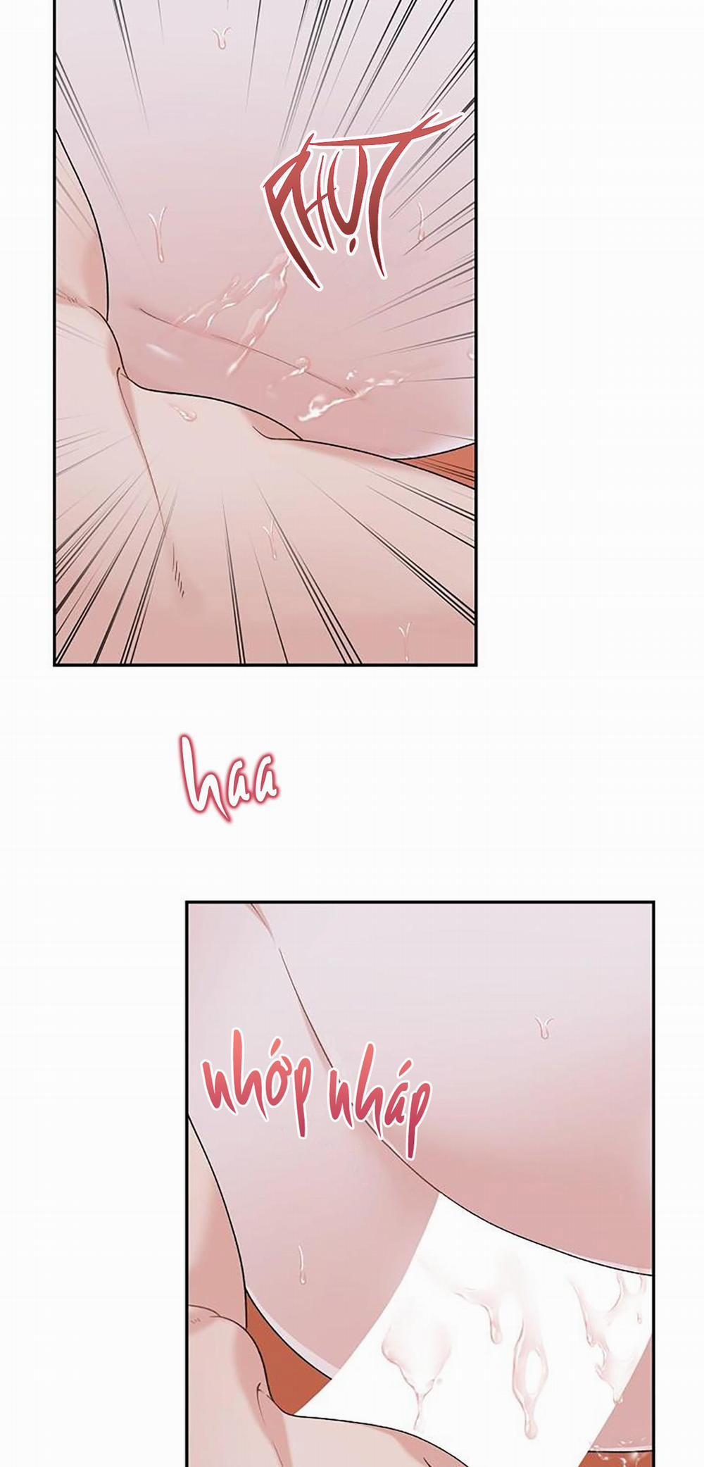 Phân Tán 16 trang 8