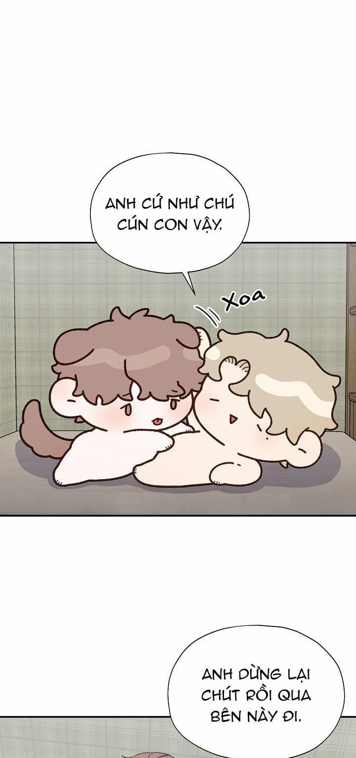 Phân Tán 23 trang 56