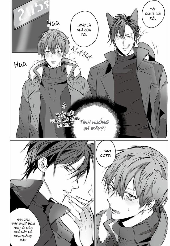 Phản Xạ Có Điều Kiện 1 trang 11