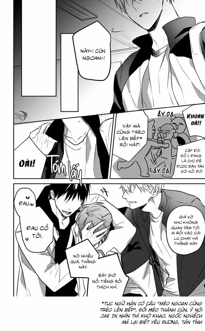 Phản Xạ Có Điều Kiện 10 trang 19