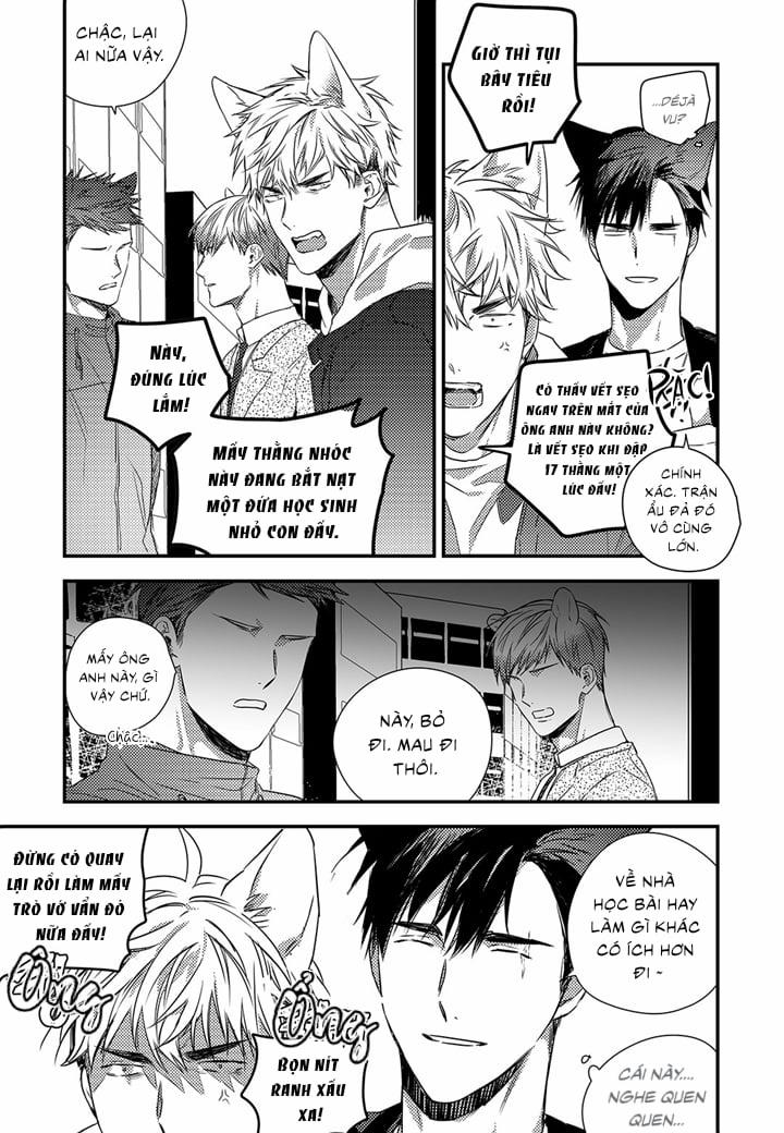 Phản Xạ Có Điều Kiện 12 trang 21