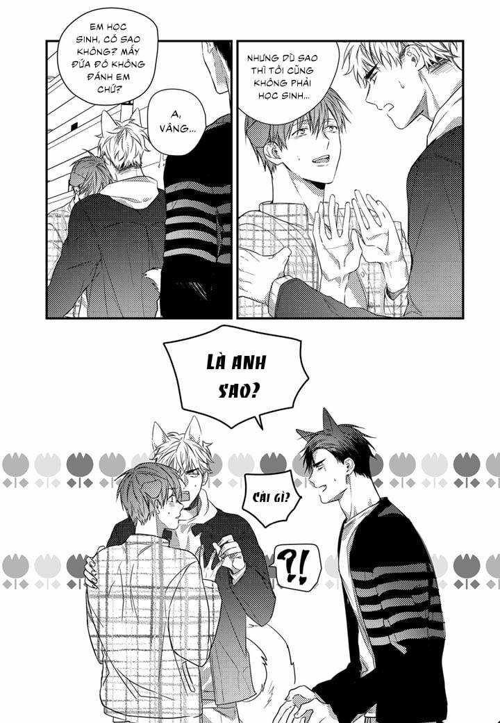 Phản Xạ Có Điều Kiện 12 trang 22