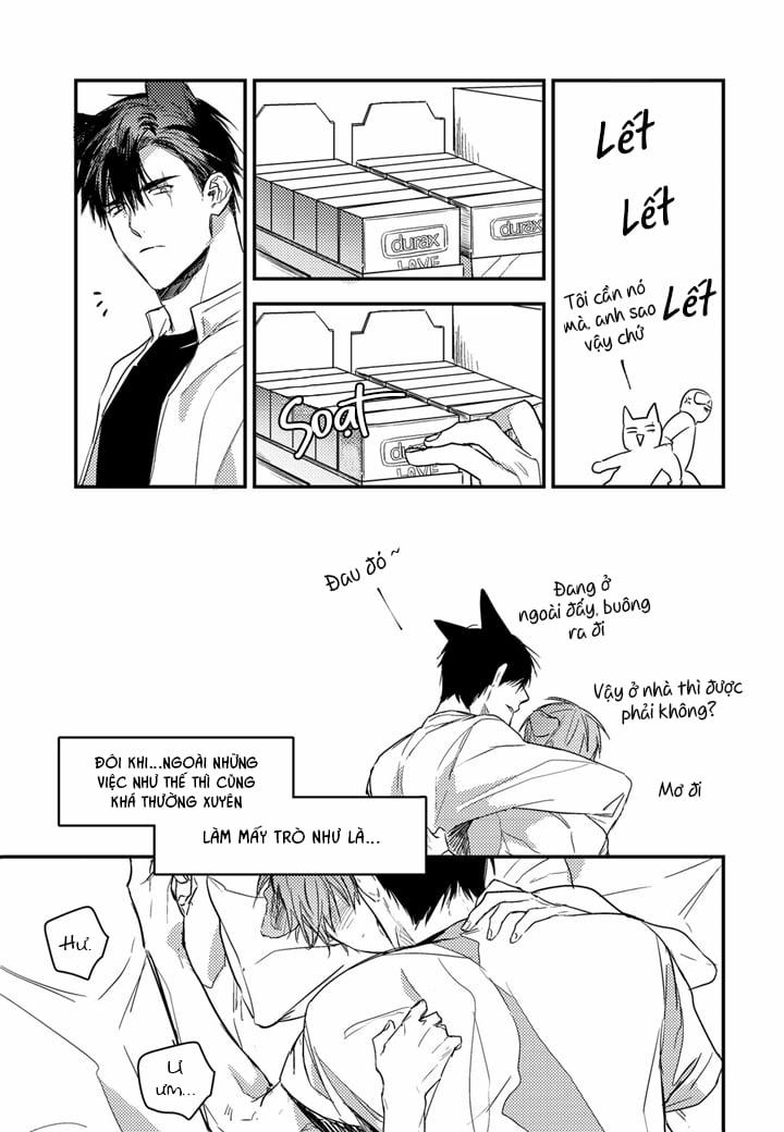 Phản Xạ Có Điều Kiện 13 trang 13