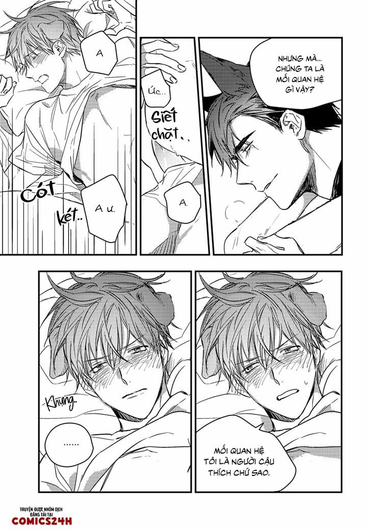 Phản Xạ Có Điều Kiện 13 trang 17