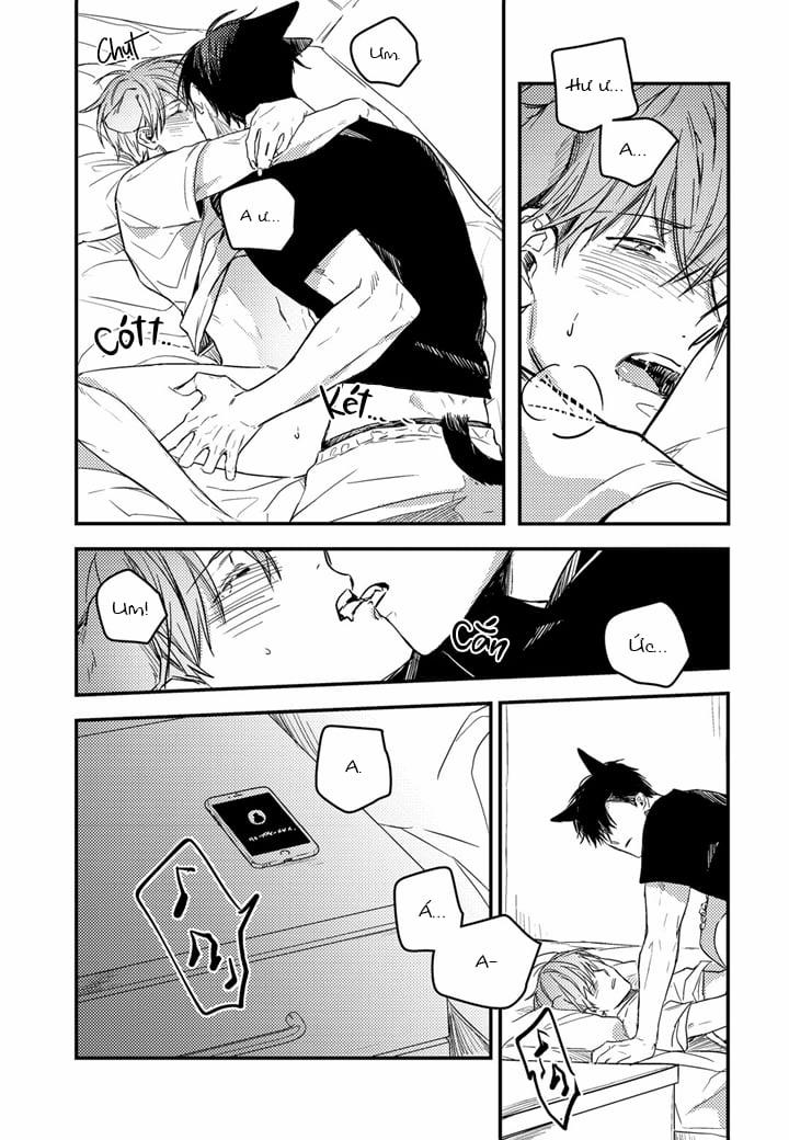 Phản Xạ Có Điều Kiện 13 trang 19