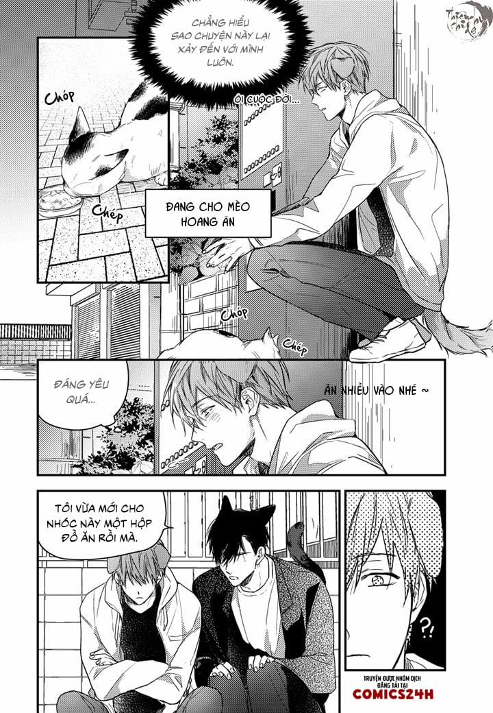 Phản Xạ Có Điều Kiện 14 trang 4