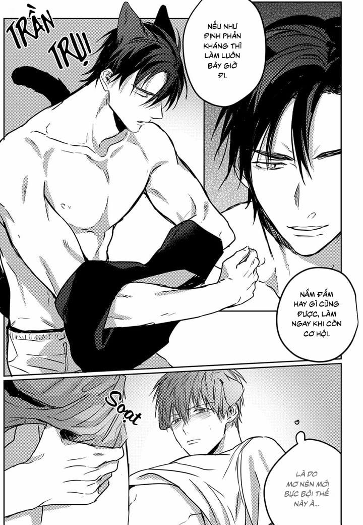 Phản Xạ Có Điều Kiện 5 trang 20