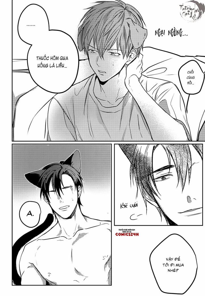 Phản Xạ Có Điều Kiện 6 trang 15