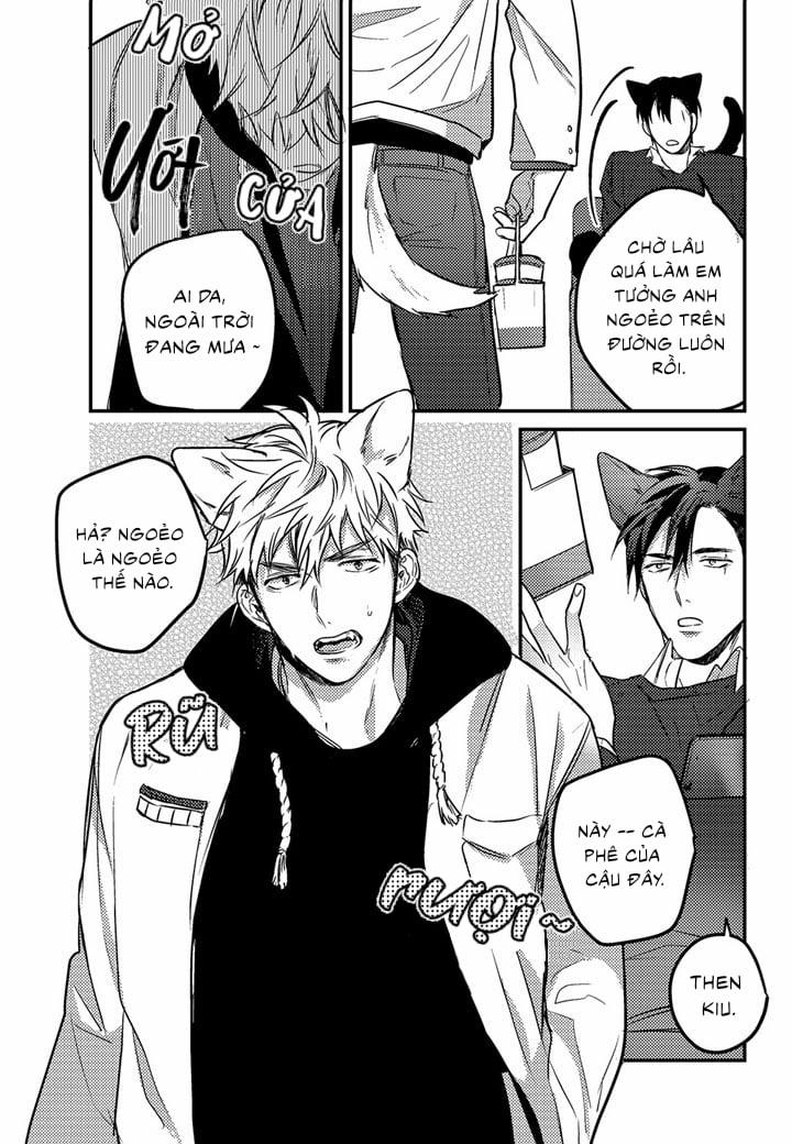 Phản Xạ Có Điều Kiện 9 trang 15