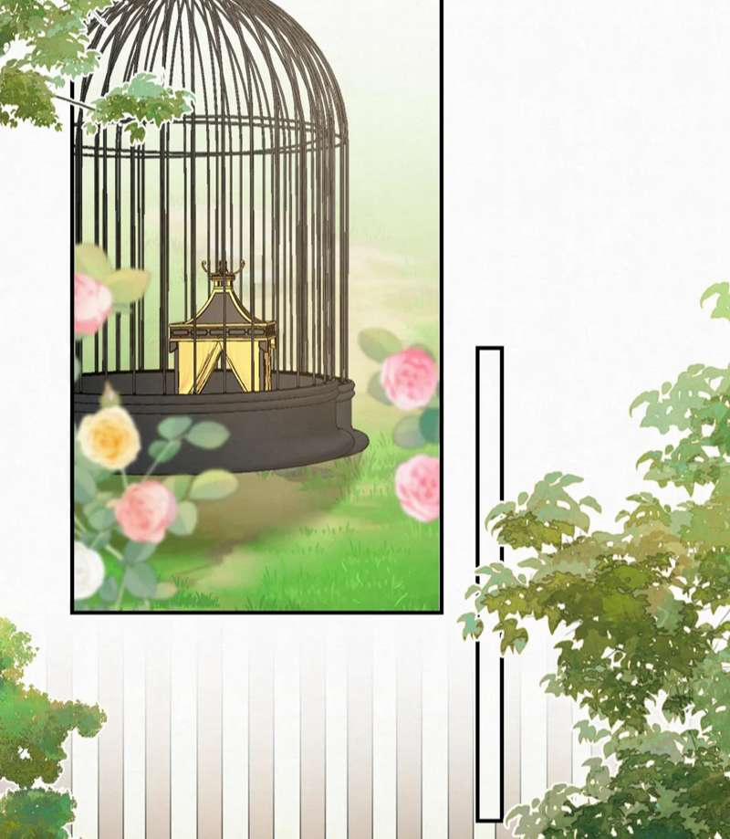 Phế Thê Trùng Sinh 71 trang 28