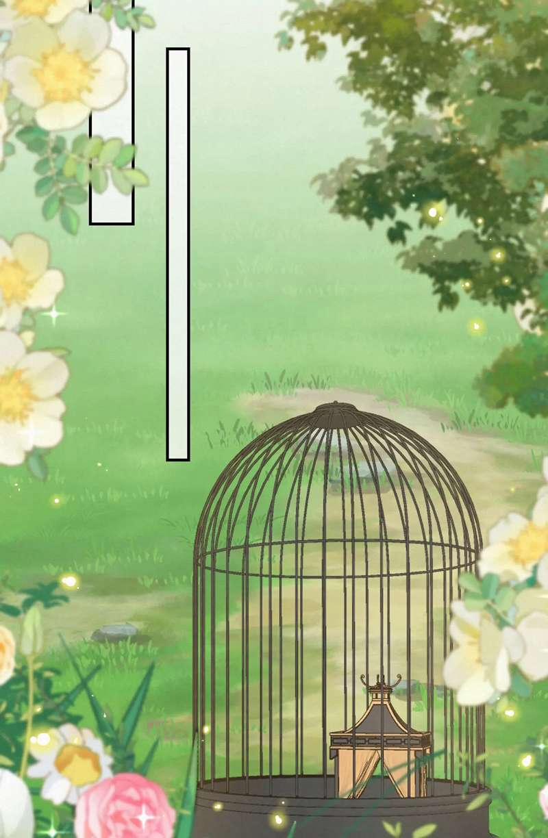 Phế Thê Trùng Sinh 71 trang 7