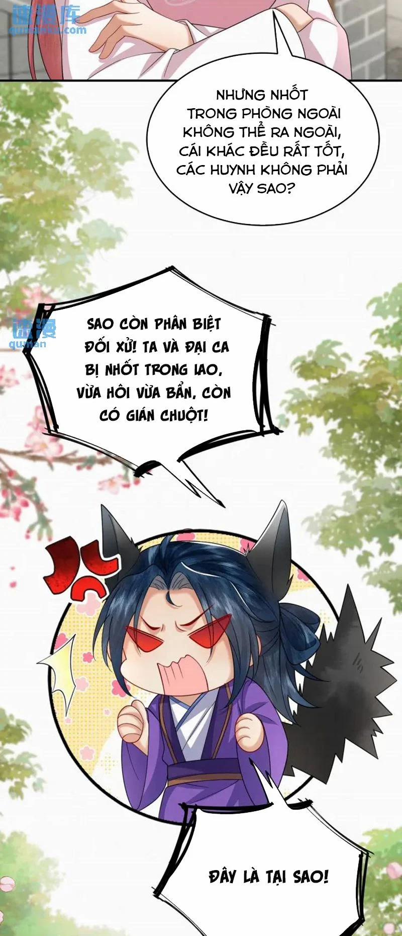 Phế Thê Trùng Sinh 72 trang 10