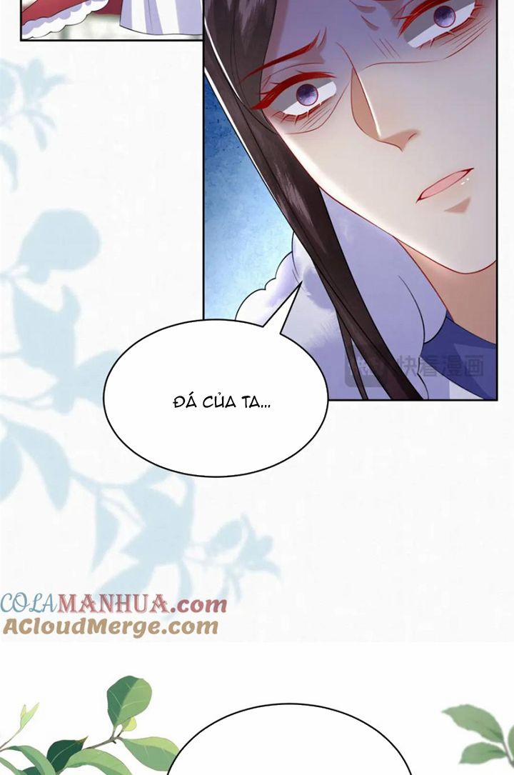 Phế Thê Trùng Sinh 78 trang 13