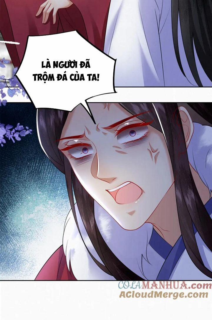 Phế Thê Trùng Sinh 78 trang 16