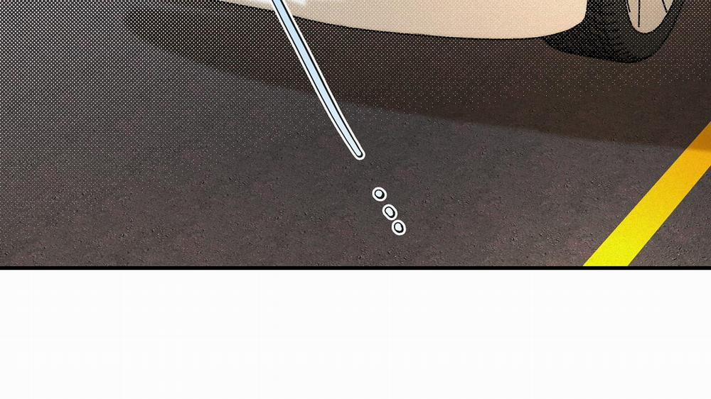 Phép Chiếu 11 trang 124