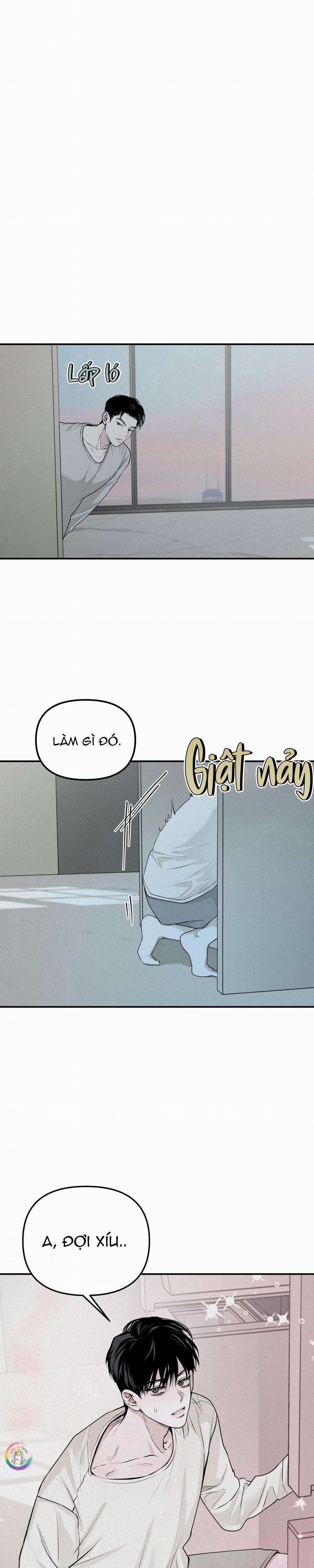 Phép Chiếu 14 trang 13