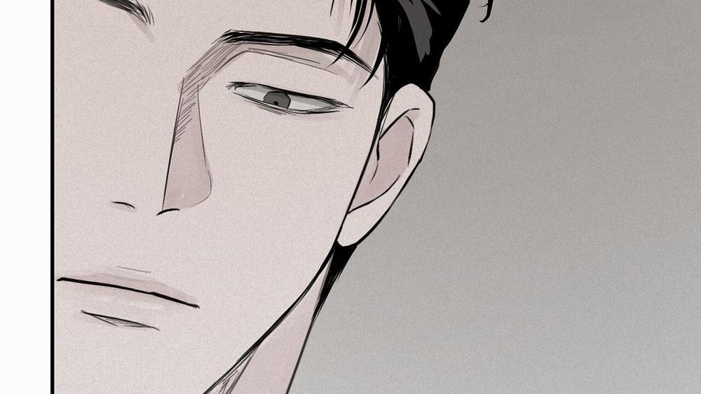 Phép Chiếu 4 trang 115