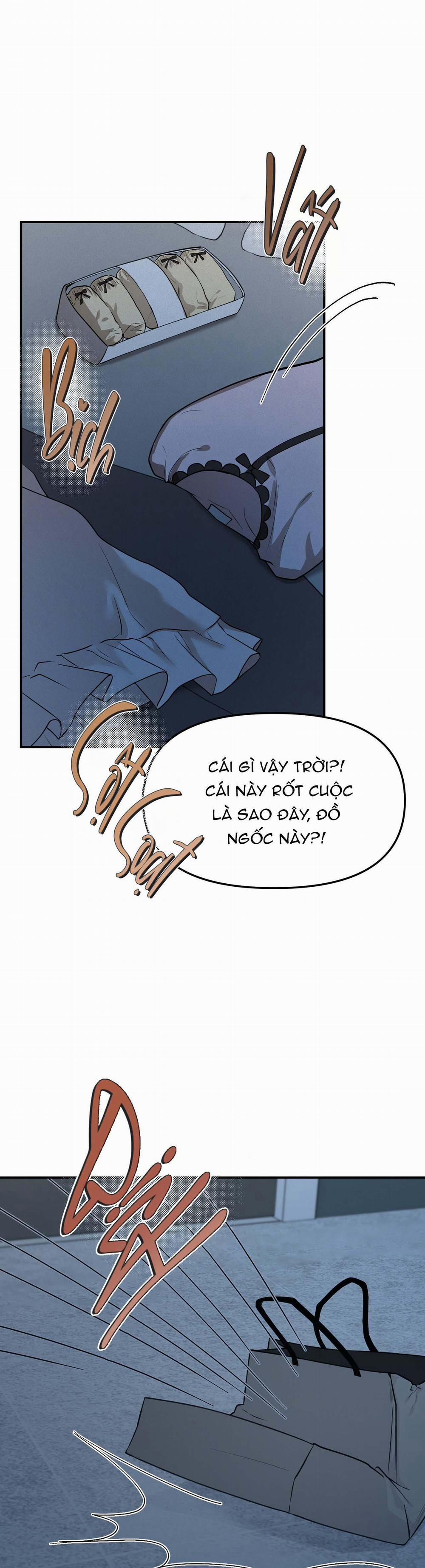 Phép Chiếu 6 trang 17