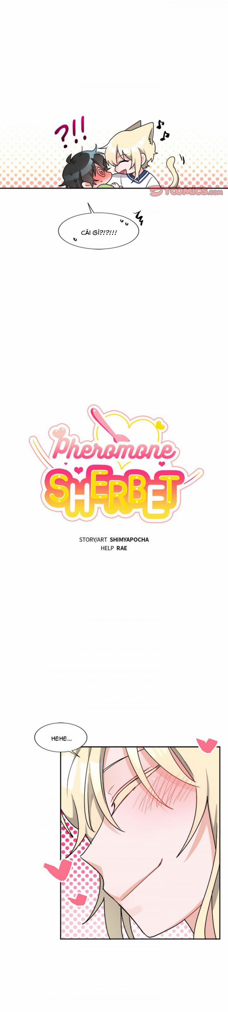 Pheromone ngọt ngào 16 trang 11