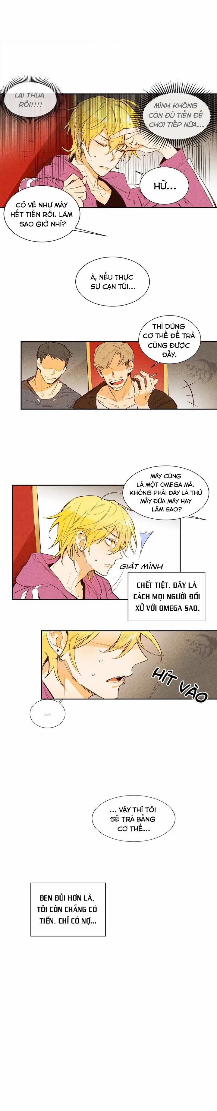 Pheromone Shower (Chim Nhại) 0 trang 2