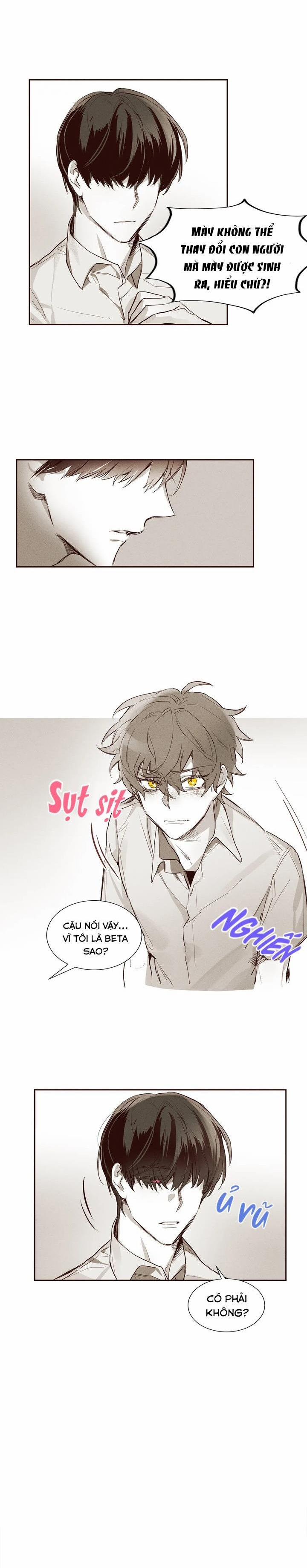 Pheromone Shower (Chim Nhại) 4 trang 11